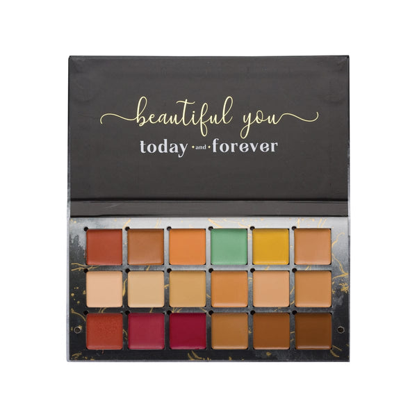 Aflairza One For All Palette Foundation, Concealer, Blush and Contour